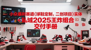 小众暴利赛道(球鞋定制，二创项目)实体+私域2025王炸组合  交付手册-九天资源站