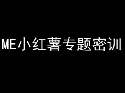 ME小红薯专题密训-小红书电商教程-九天资源站
