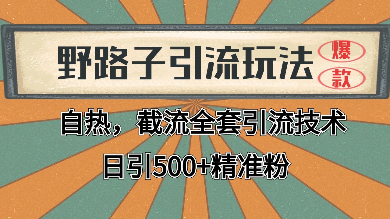 2024首发野路子引流玩法截流自热全平台打法，全自动引流【日引2000+精准客户】-九天资源站