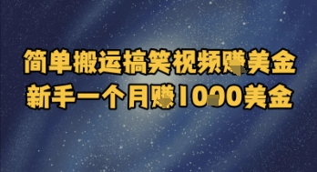 简单搬运搞笑视频挣美金，新手一个月入1k美金-九天资源站