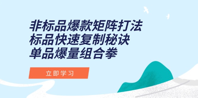 非标品爆款矩阵打法，标品快速复制秘诀，单品爆量组合拳-九天资源站