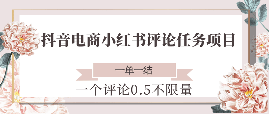 抖音电商小红书评论任务项目，一个评论0.5，一单一结 不限量-九天资源站
