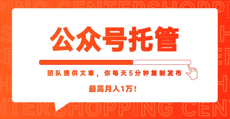 【公众号托管 】我提供文章，你每天５分钟复制发布，最高月入1W-九天资源站