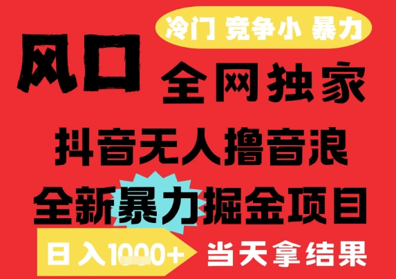 25年6月高爆抖音无人直播最新撸音浪掘金项目，解放双手小白可做，无脑日入1k+，门槛低【揭秘】-九天资源站