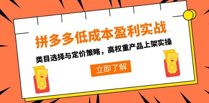 拼多多低成本盈利实战，类目选择与定价策略，高权重产品上架实操-九天资源站