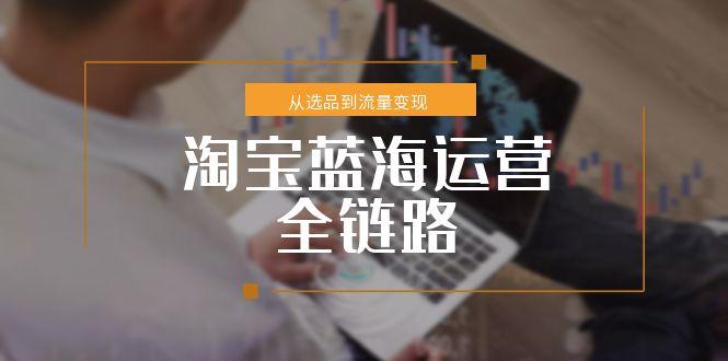 淘宝蓝海运营全链路，从选品到流量变现，小类目突围完整方案-九天资源站