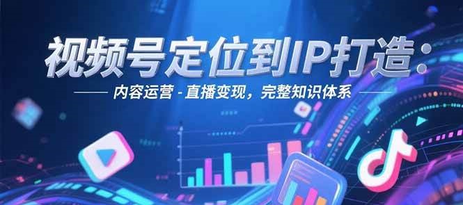 视频号定位到IP打造：账号搭建-内容运营-直播变现，完整知识体系-九天资源站