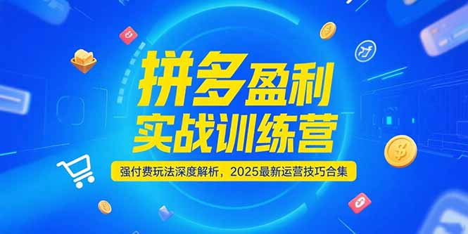 拼多多盈利实战训练营，强付费玩法深度解析，2025运营技巧合集-更新6月-九天资源站