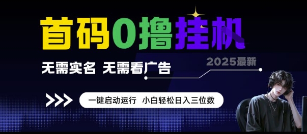 首码0撸挂G项目，无需实名无需看广告 一键启动运行，小白轻松日入三位数【揭秘】-九天资源站