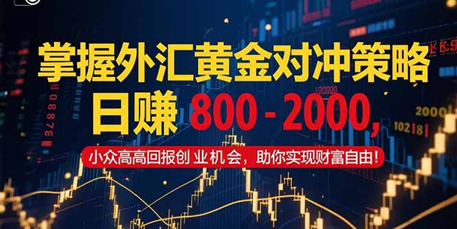 掌握外汇黄金对冲策略，日赚 800 – 2000，小众高回报创业机会，助你实…-九天资源站