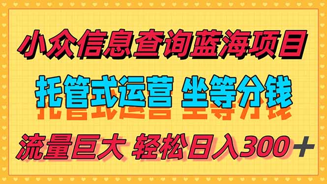 稳定日入300＋，小众信息查询蓝海项目，全程懒人式托管，解放你的时间-九天资源站