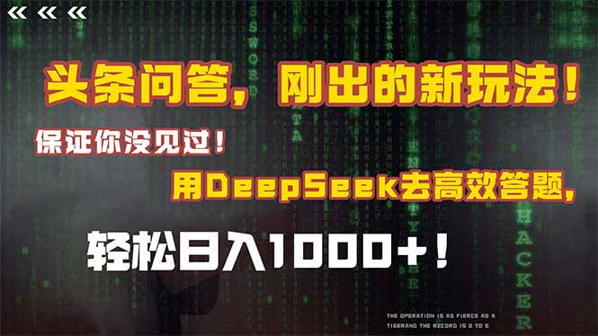 头条问答，刚出的新玩法！保证你没见过！结合Deepseek高效答题，日入1000+-九天资源站