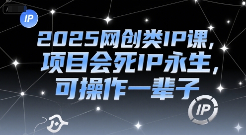 2025网创类IP课，项目会死IP永生，可操作一辈子-九天资源站