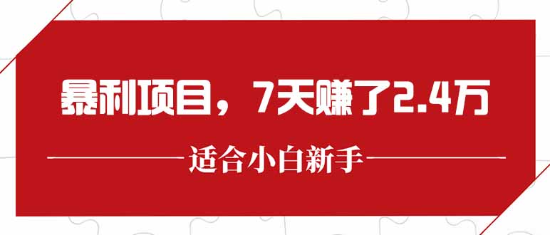 最新暴利项目，每单收益轻松在300以上，7天赚了2.4万-九天资源站