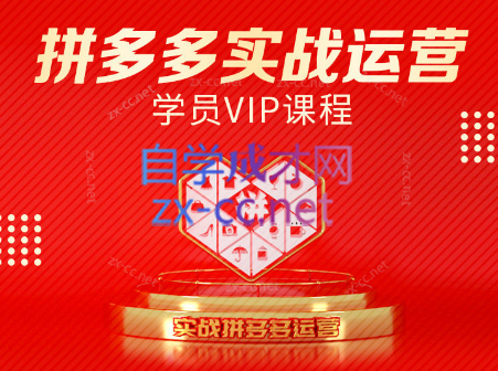 推易电商·拼多多实战运营课(更新2025月)-九天资源站