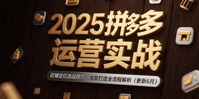 2025拼多多运营实战：店铺定位选品技巧，爆款打造全流程解析(更新6月-九天资源站