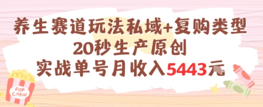 养生赛道玩法私域+复购类型，20秒生产原创实战单号月收入5k+-九天资源站