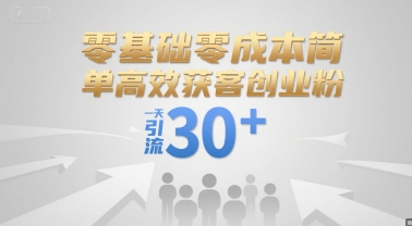 零基础零成本简单高效获客创业粉，一天引流30+-九天资源站