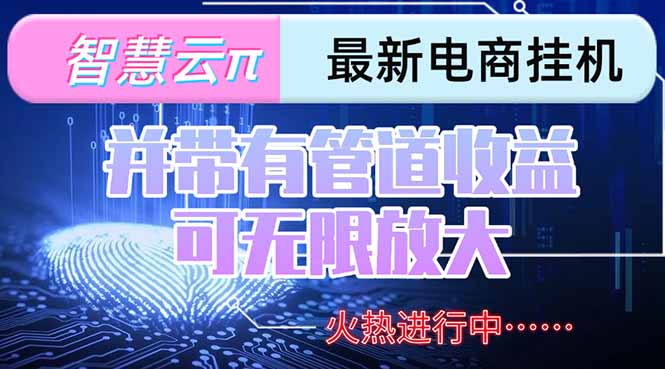 智慧云π电脑挂机单机每天收益300—500+ 并带有团队管道收益 可无限放大-九天资源站