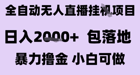 最新全自动抖音无人直播挂G项目，日入2k+ 包落地暴力撸金，小白可做【揭秘】-九天资源站