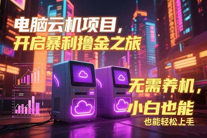 电脑云机项目 暴力撸金玩法，不需要养机 配置没有要求 单机100个窗口一…-九天资源站