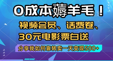 0成本薅羊毛!视频会员、话费卷、30元电影票白送，分享我如何靠转卖一天变现5张+【揭秘】-九天资源站