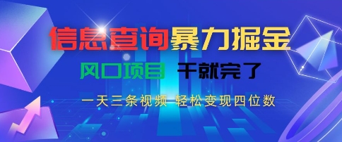 信息查询暴力掘金，一天三条视频，轻松变现四位数，风口项目干就完了【揭秘】-九天资源站