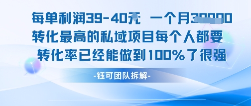 每单利润40一个月7k+转化最高的私域项目，每个人都要的产品转化率已经能做到100%-九天资源站