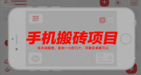 手机搬砖项目，有手就能做，亲测一小时几十，苹果安卓都可以-九天资源站