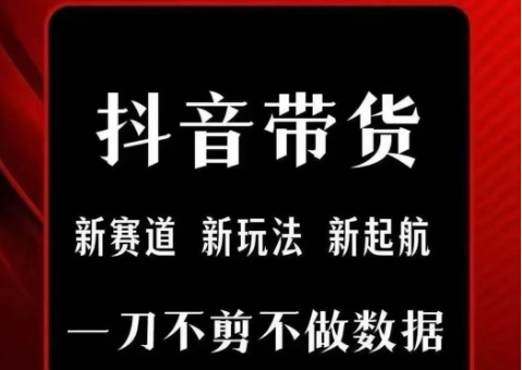 抖音短视频一刀不剪带货，不剪辑，不直播，每天发个视频，等着出单获取带货佣金-九天资源站