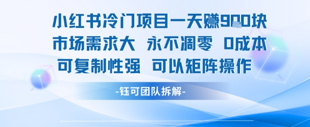 小红书冷门项目一天收益9张，市场需求大，0成本，可复制性强可以矩阵操作-九天资源站