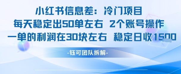 小红书信息差冷门项目一单利润30块每天稳定1.5k左右2个账号操作-九天资源站