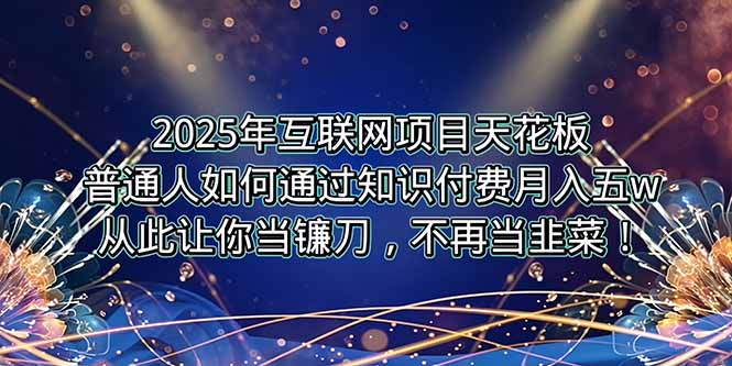 2025年互联网项目天花板，普通人如何通过卖项目实现逆风翻盘，月入5W＋！-九天资源站