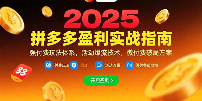 拼多多盈利实战指南，强付费玩法，活动爆流技术，微付费破局方案(更新7月-九天资源站