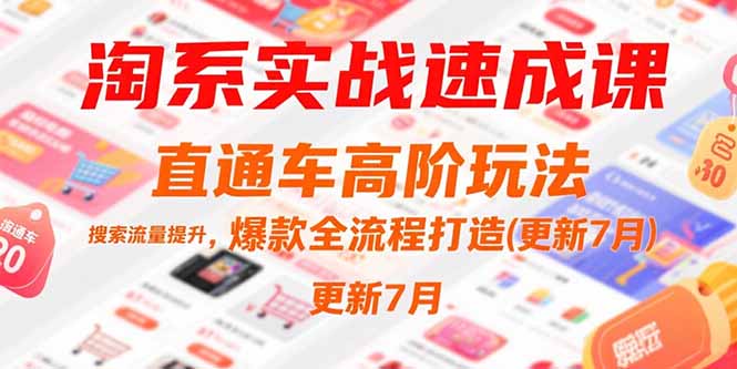淘系实战速成课，直通车高阶玩法，搜索流量提升，爆款全流程打造(更新7月-九天资源站