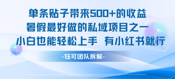 单条贴子带来5张的收益，暑假最好做的私域项目之一，小白也能轻松上手，有小红书就行-九天资源站
