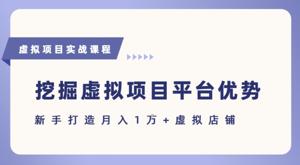 抓住虚拟项目各平台优势，新手轻松月入1W+(给出具体建议)-九天资源站