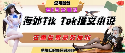 海外tiktok小说推文暴力项目，高停留率，高转化率，上手后一天搞顿饭钱不是问题-九天资源站