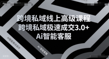 跨境私域线上高级课程，跨境私域极速成交3.0+Ai智能客服-九天资源站