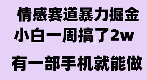 情感暴力掘金项目，新人操作一周挣了2W，长期稳定小白可做【揭秘】-九天资源站
