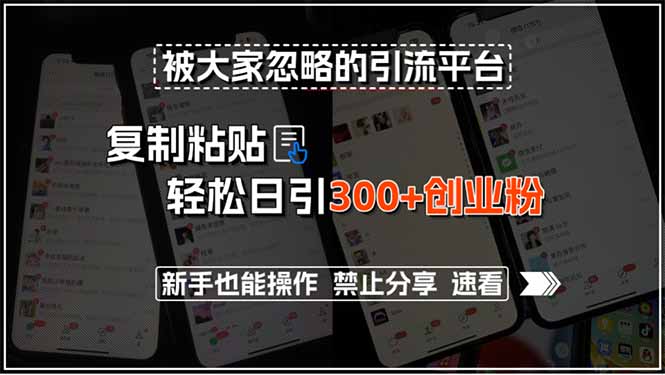 被大家忽略的引流平台，复制粘贴轻松日引300+创业粉，新手也能操作，禁…-九天资源站
