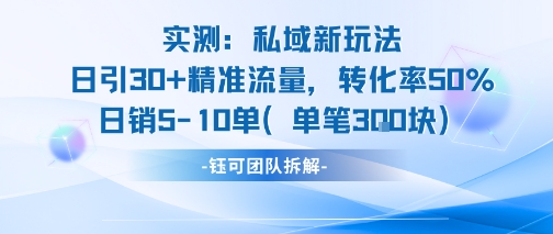实测私域新玩法日引30加精准流量转化率50%日销5-10单每笔3张-九天资源站