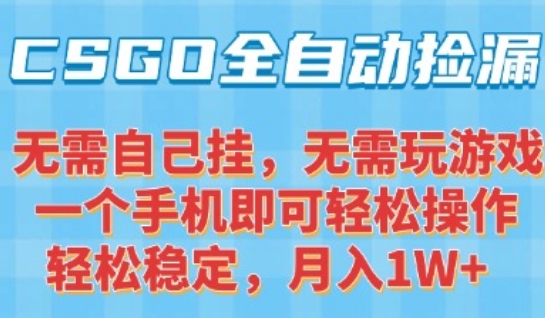 CSGO自动捡漏项目，最新独家玩法，一个手机可操作，新手小白轻松月入1W+，操作简单易上手【揭秘】-九天资源站
