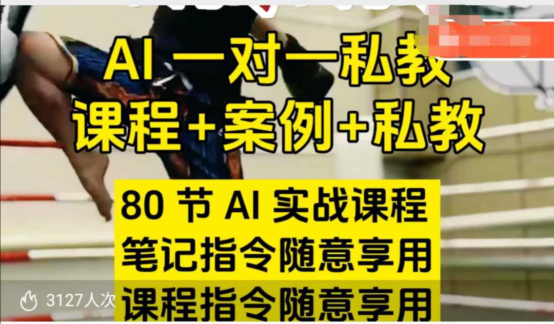 AI指令实战课，课程+案例，80节AI实战课程，笔记指令随意享用，课程指令随意享用(更新7月)-九天资源站