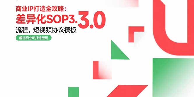 商业IP打造全攻略：差异化SOP3.0流程，短视频协议模板，婚恋项目实战案例-九天资源站