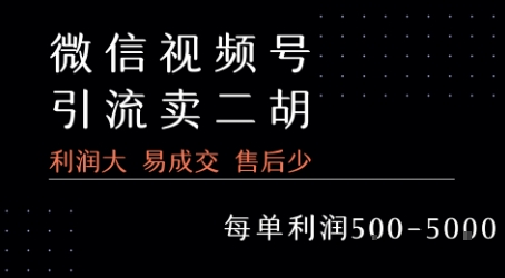 视频号卖二胡教程，利润大 易成交 售后少，一单利润5张+-九天资源站