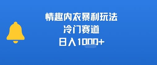 情趣内衣暴利玩法，冷门赛道，日入1k+-九天资源站