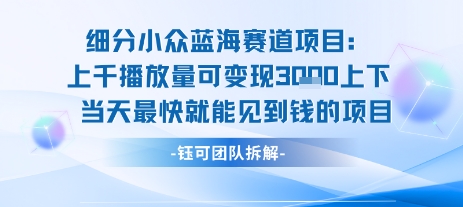 小众蓝海赛道项目：当天变现1k+适合新手操作 +适合长期玩-九天资源站