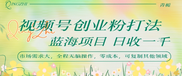 视频号创业粉打法，日入1k，蓝海项目，市场需求大，全程无脑操作，可复制-九天资源站
