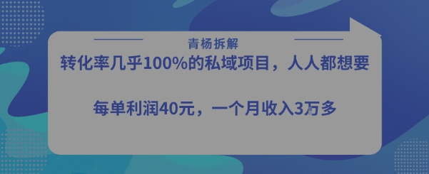 转化率最高的私域项目，每单利润40-50米，月入过1w-九天资源站
